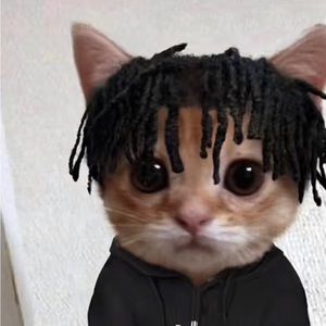 Meet your Posher, Kevin